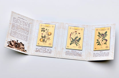 Botanical Artists Aurum® Series 24k Gold Bundle