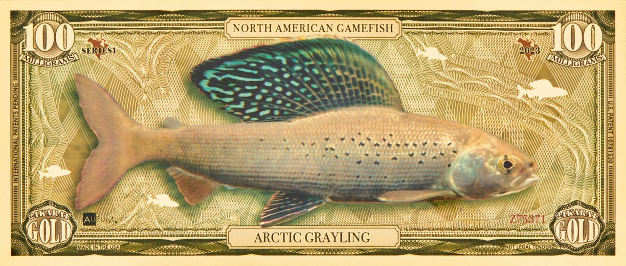 Arctic Grayling Aurum® 100mg 24k Gold Bill