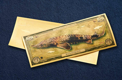 Rock Sturgeon Aurum® 100mg 24k Gold Bill