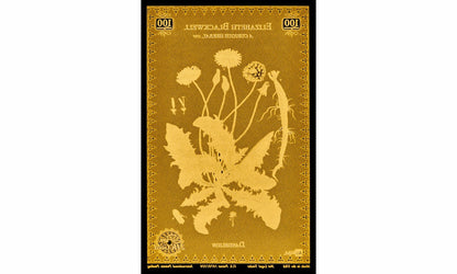 Botanical Artists Aurum® Series 24k Gold Bundle