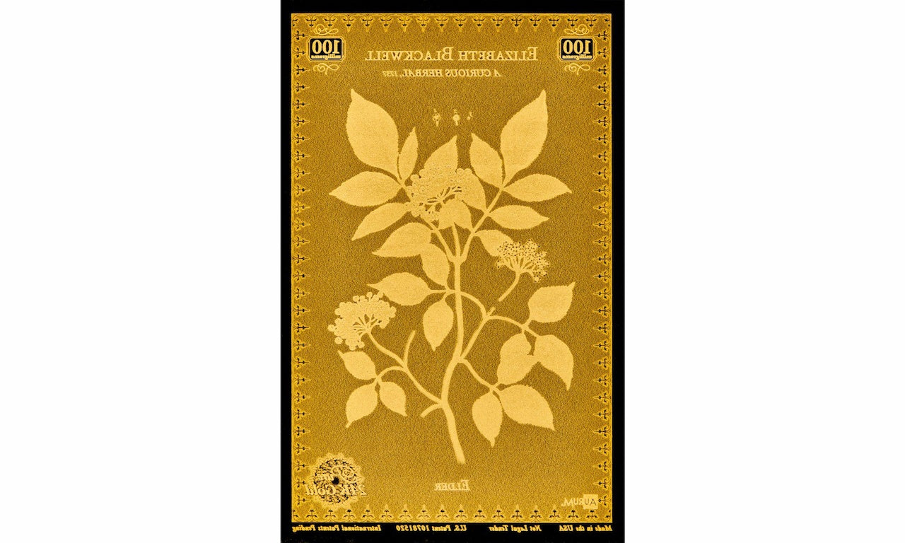 Botanical Artists Aurum® Series 24k Gold Bundle