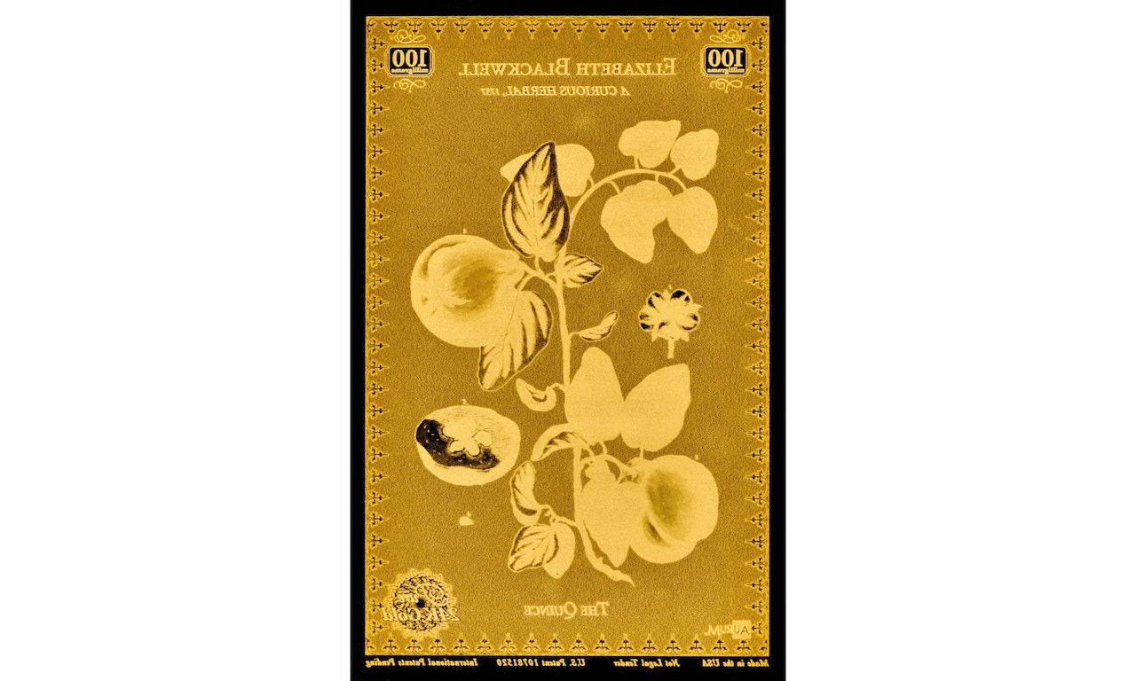 Botanical Artists Aurum® Series 24k Gold Bundle